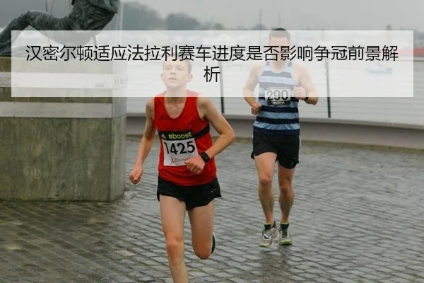 han-mi-er-dun-shi-ying-fa-la-li-sai-che-jin-du-shi-fou-ying-xiang-zheng-guan-qian-jing-jie-xi-2-252.jpg